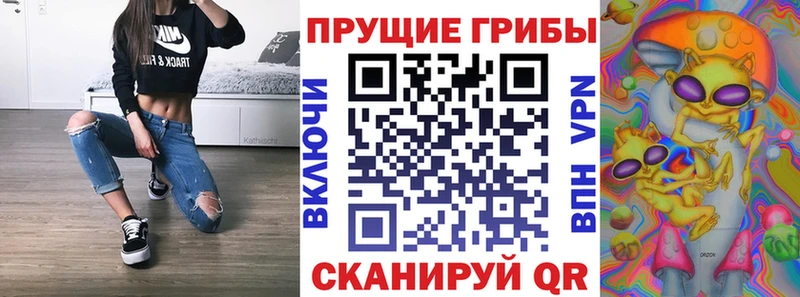 Галлюциногенные грибы Cubensis  Купить  Кемь 